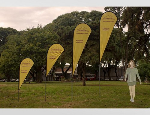 Newsletter 40-Julio 2019: Lanzamiento 2019